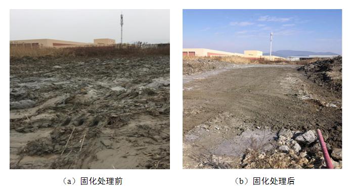 宁波大嵩泥浆池固化筑路工程